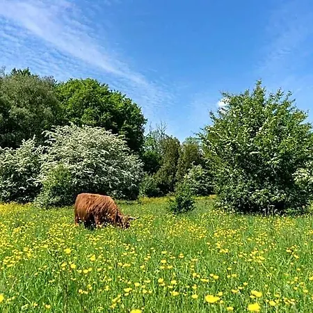 Europarcs Het Amsterdamse Bos أمستلفين