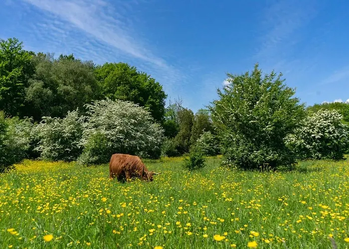 База отдыха Europarcs Het Amsterdamse Bos *