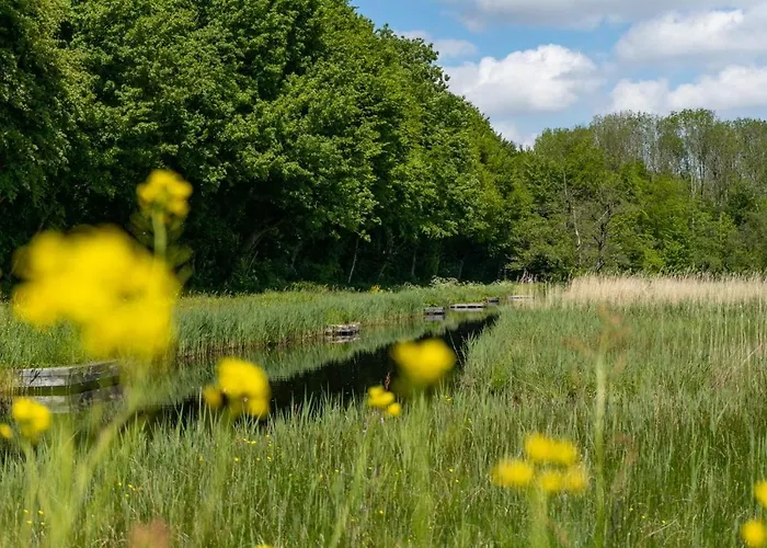 פארק נופש Europarcs Het Amsterdamse Bos *