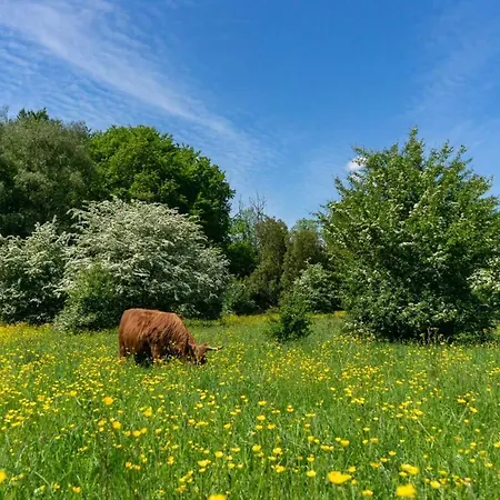 منتزه العطل Europarcs Het Amsterdamse Bos *